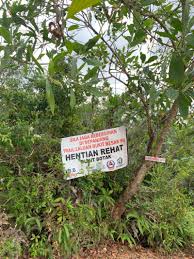 Esta ruta tiene una elevación cercana a 0 m y tiene una calificación de fácil. Bukit Besar Trail Hike Kuala Terengganu Terengganu Malaysia Pacer