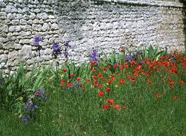 biodiversite un muret en pierres pour abriter les animaux jardins muret en pierre plante rocaille