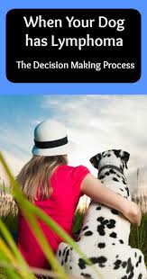 If your pup has lymphoma, there are things you can do to calmly guide them through the end of their life and minimize their discomfort and distress. When Your Dog Has Lymphoma Some Pets Lymphoma In Dogs Dog Cancer Canine Cancer