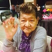 Elvira Campos Nunez Obituary