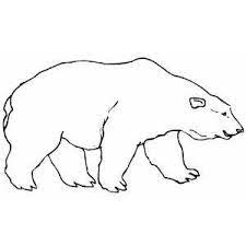 Big Animals Free Coloring Sheets Polar Bear Coloring Page Polar Bear Color Bear Coloring Pages