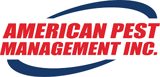 Pest provides pest control services to. Are You Sure It S A Brown Recluse Bite Kansas Pest Control