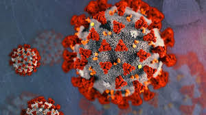 May 20, 2021, 07:48 gmt. Dhs Sunday Update 31 Of Wisconsin Has Completed The Covid 19 Vaccine Series