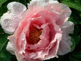 Pflegeheim haus am großen krug großer krug 1 23611 bad. Haus Seeblick Pflegeheim Molln Gmbh In Molln Schleswig Holstein Auf Wohnen Im Alter De