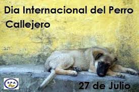 Jun 25, 2021 · el 27 de junio se celebra en madrid la carrera solidaria por la defensa de la vida. 27 De Julio Dia Internacional Del Perro Callejero Todo Imagenes