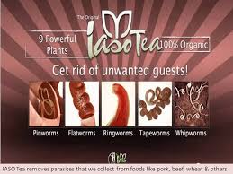 Pin On Organic Healthy Detox To Lose 10lbs In 10 Days