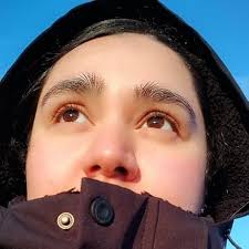 Mini Korean Dictionary: Korean-English English-Korean : Shin, Seong-Chui,  Baik, Gene, Cho, Tina: Amazon.ca: Livres