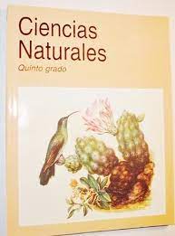 La patria (1962), jorge gonzález camarena. Ciencias Naturales Quinto Grado Various 9789701857007 Amazon Com Books