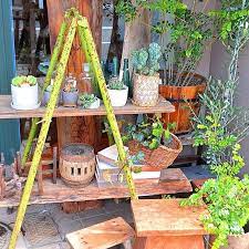 木製の踏み台や鉄製の脚立 脚立のサイズは 高さ約110cm 奥行き56cm ふえてきた植物用に棚を作りたいとお考えの方にも ベランダや庭先に 置きやすいサイズとなっています 鉄製 脚立 梯子 棚板各種あり 植物 飾り台 木製 踏み台 古道具 廻antique kito