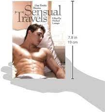 Amazon.com: Sensual Travels: Gay Erotic Stories: 9783867875219: Luongo,  Michael: Books