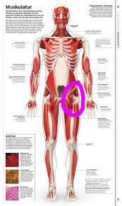 Grosse Schmerzen An Der Hufte Gesundheit Und Medizin Gesundheit Sport Und Fitness