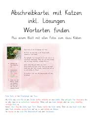 Abschreibkartei Katze Wortarten Suchen Unterrichtsmaterial In Den Fachern Daz Daf Deutsch Wortarten Kartei Daf