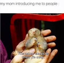 Hilarious jokes and puns that only smart people will understand. This Taunt Bones Funny Funny Gif Funny