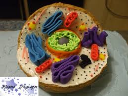 Refer to the student worksheet below for details and instructions. 9 Cell Models Ideas Cell Model Cells Project Plant Cell Project