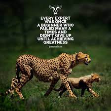 Beast Desire Life Quotes Pictures Warrior Quotes Beast Quotes