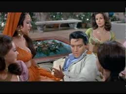 We did not find results for: Elvis Presley All 31 Movies Montage Youtube
