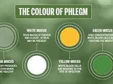 Coughing Up Phlegm What The Color Of Your Sputum Says About