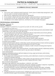 Resume E Commerce Project Manager Resume Summary Resume Summary Statement Resume Summary Examples