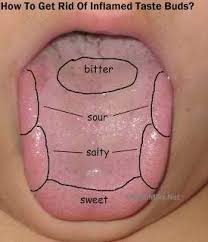 Feb 18, 2021 · there is no wrong time to start trying to trigger your sense of smell and taste to return. Frandsen Dental Science For Kids Inflamed Taste Buds Senses Preschool