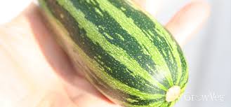 However, if you're a person who's bothered by the texture of, say, carrot shreds in carrot cake, then you might want to peel beforehand. The Secret To Success With Zucchini