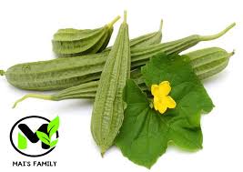 Image result for Lagenaria rufa