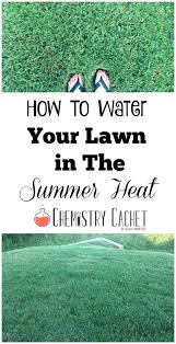 Next, measure and record the depth of water caught in each individual can. How To Water Your Lawn In The Summer Heat
