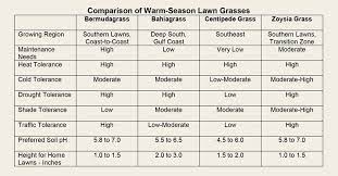 Keep in mind that most seed types will still. What Is The Best Warm Season Grass For Your Lawn