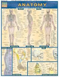 Pin On Nursing And Medicine