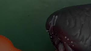 Fish Beads Undyne Anal Ayasz Vore