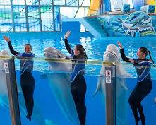 Image of SeaWorld San Antonio San Antonio