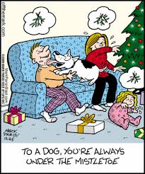 Family memory or festive decor; Pin By Michele Lee On Christmas Christmas Comics Dog Xmas Christmas Humor