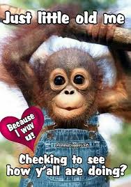 Below you will find our collection of inspirational, wise, and humorous old monkey quotes, monkey sayings, and monkey proverbs, collected over the years from a variety of sources. 3 Monkey Friends Quotes Novocom Top