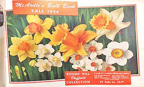 Check spelling or type a new query. Mcardle S Floral Garden Design Greenwich Ct