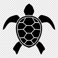 The first marks i made inside the oval shape were the hexagons (6 sided. Black Turtle Illustration Turtle Shell Raphael Teenage Mutant Ninja Turtles Logo Turtle Transparent Ba Turtle Drawing Turtle Silhouette Turtle Tattoo Designs