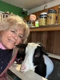 Father-son log cabin home building project in Markhamville, New Brunswick