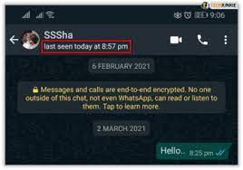 How To Check If Someone Is Online In Whatsapp