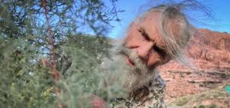 Utah Field Guide: Waterfowl Slam