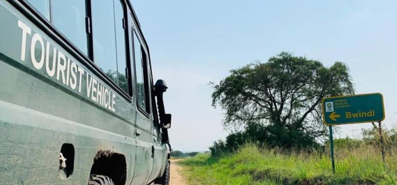 Driving from Entebbe to Bwindi gorilla park- Encountering mountain gorillas