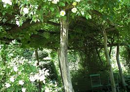 Sitzecken garten garten terrasse haus und garten gartenanlage garten gestalten garten mediterrane terrasse sitzplatz im garten überdachung garten mediterraner garten rustikal. Sitzplatz Anlegen Und Gestalten Garten Und Terrasse Praktische Tipps
