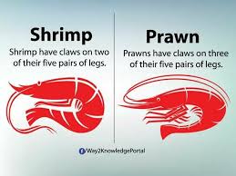 Shrimp Vs Prawn English Words Confusing Words Learn English