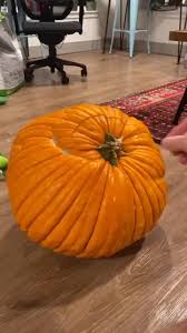 Image result for fat ass pumpkin