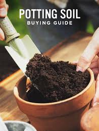 Choose The Best Potting Soil In 2020 Potting Soil Soil Orchid Soil