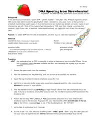 The first step is to create the lysis buffer. Lab Strawberry Dna Extraction