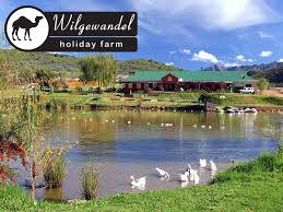 Plan to visit wilgewandel holiday farm, south africa. Wilgewandel Holiday Farm Activities Lalakoi Directory