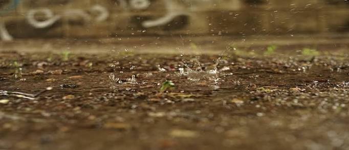 Can Rain Extract Blood from a Stone? | Office for Science and Society - McGill University