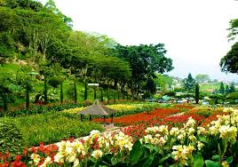 Dapatkan Pengalaman Liburan Seru Akhir Pekan Di Taman Bunga Terbaik Di Jawa Timur Taman Bunga Selecta Travel Malang Surabaya Juanda Murah 24 Jam