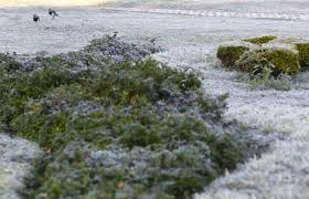 Jun 13, 2021 · semana fria e com previsão de geada em áreas do sul do br. Curitiba Tem Previsao De Geada Para 12 De Julho De 2018