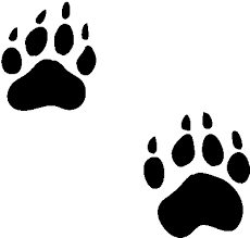 Free Tiger Paw Print Download Free Clip Art Free Clip Art On Clipart Library Paw Print Clip Art Tiger Paw Print Bear Paw Print