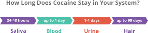 How Long Does Cocaine Stay In Your System Blood Urine