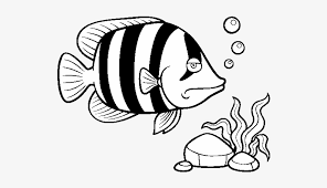 Select from 35970 printable crafts of cartoons, nature, animals, bible and many more. Angelfish Coloring Page Calendar July Coloring Pages 600x470 Png Download Pngkit